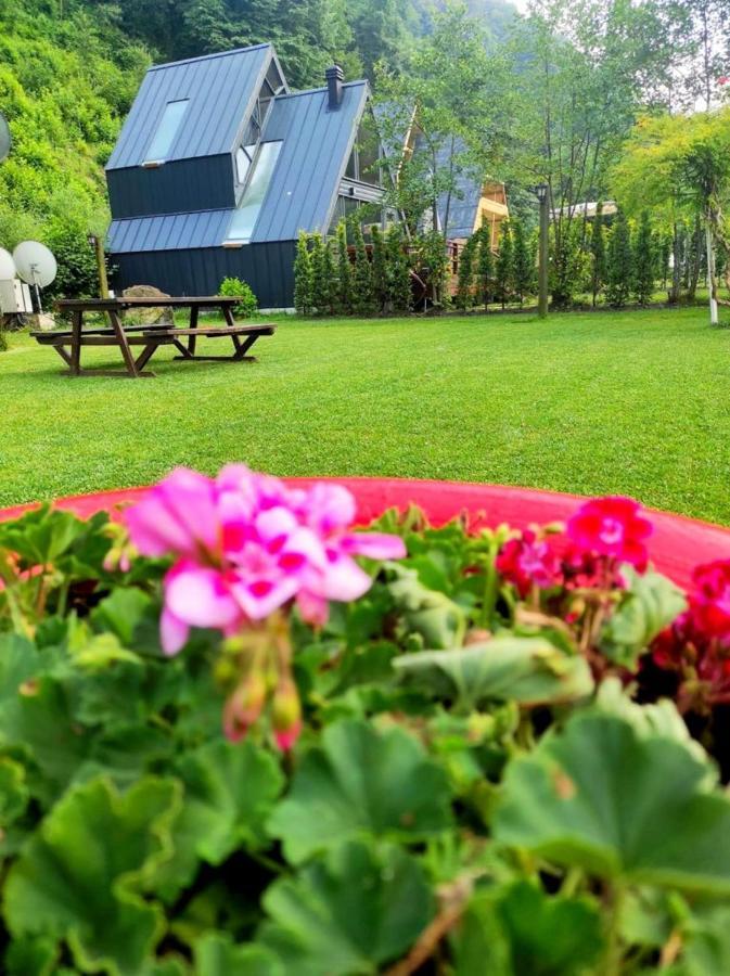 Naturkoy Sapanca Sakarya  Exterior foto