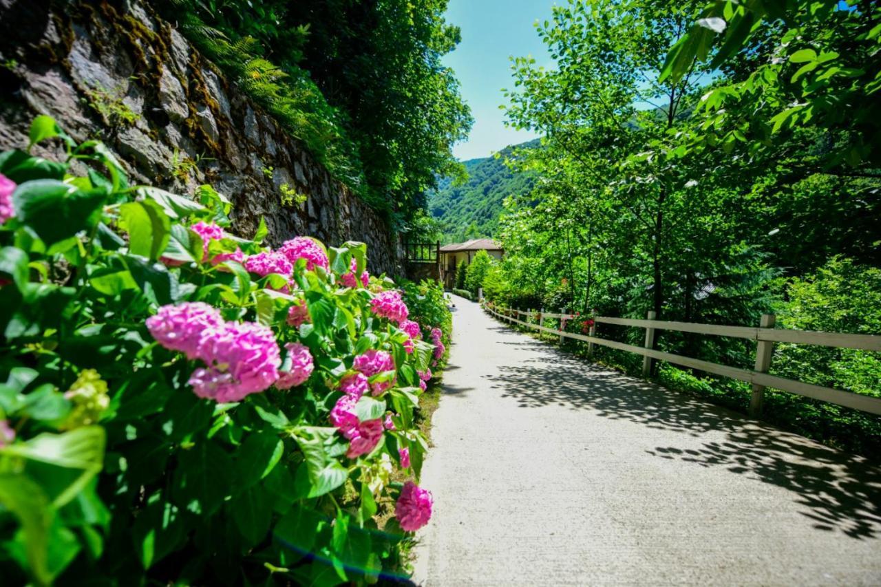 Naturkoy Sapanca Sakarya  Exterior foto