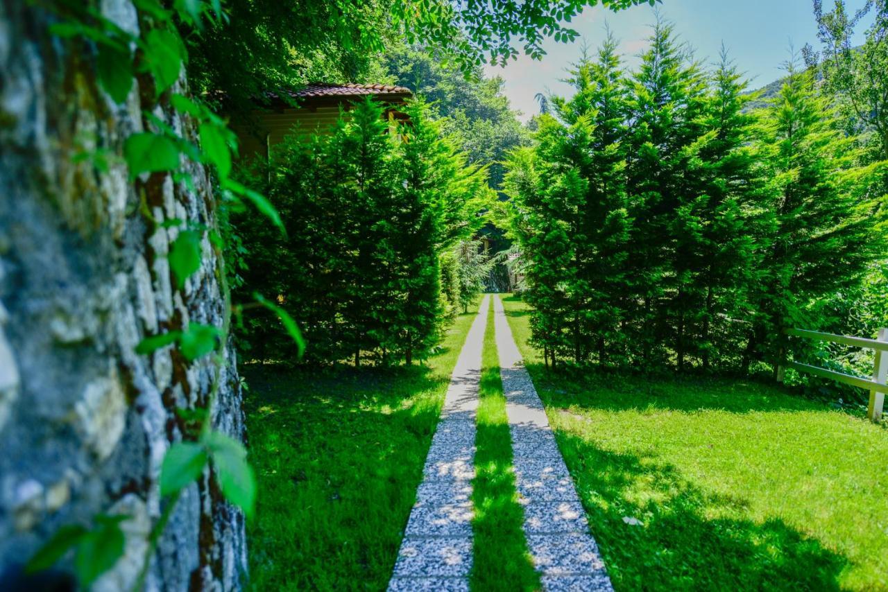 Naturkoy Sapanca Sakarya  Exterior foto